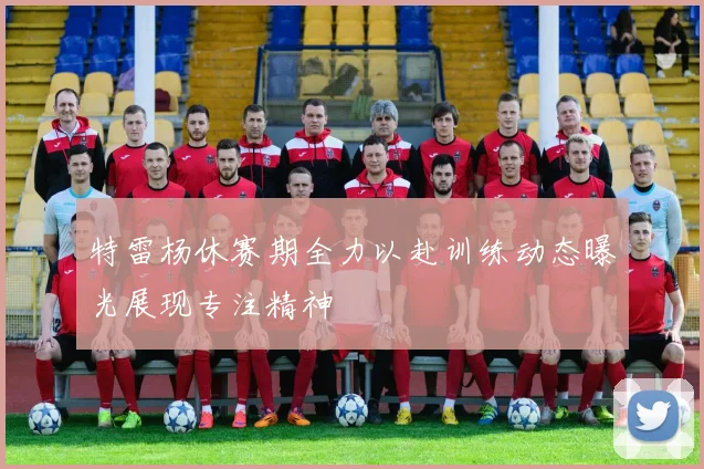 特雷杨休赛期全力以赴训练动态曝光展现专注精神